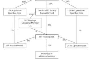 Diagram created by a tax pro with experience at Evans Sternau CPA to demonstrate tax structure